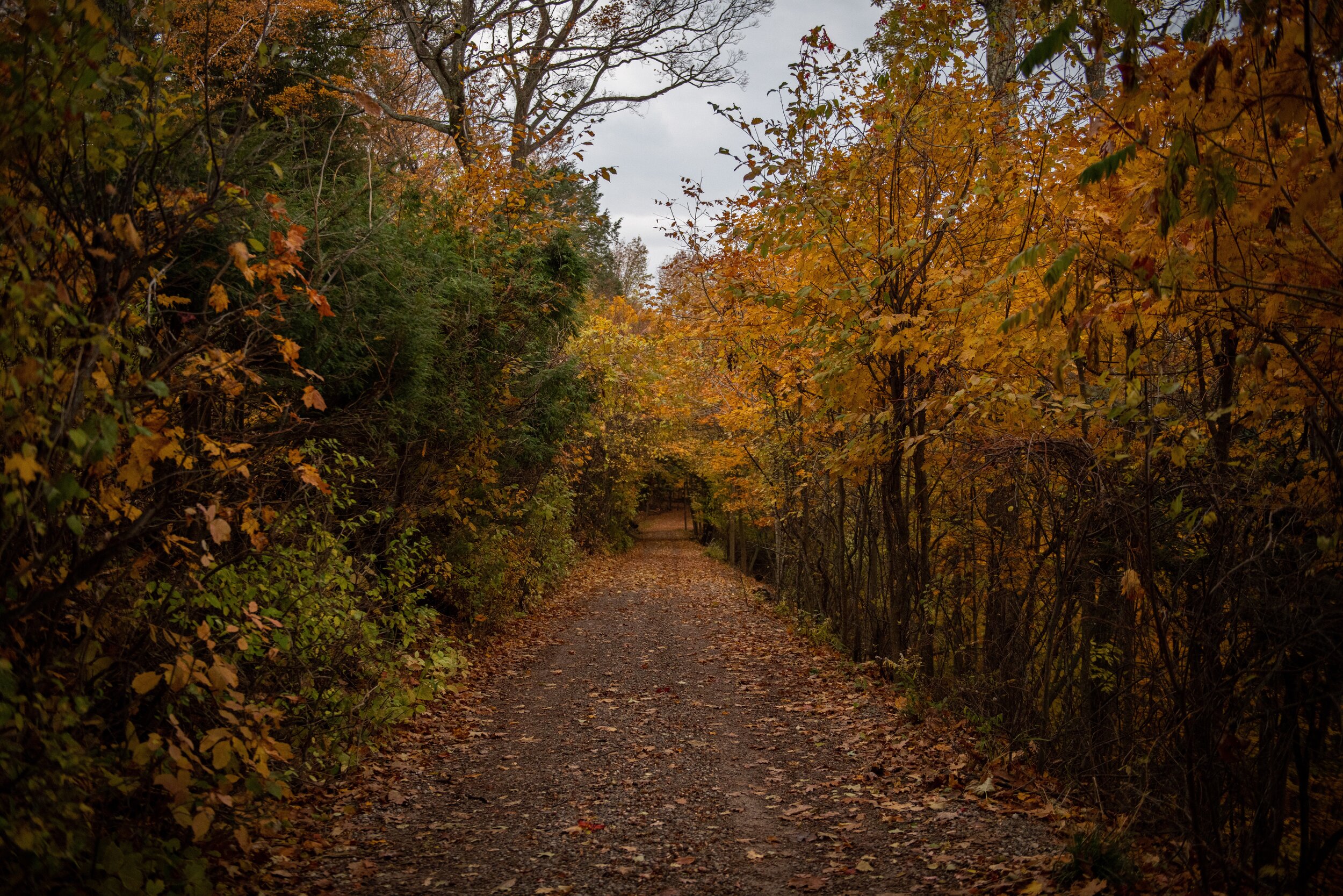 _DSC3818_sm.jpg